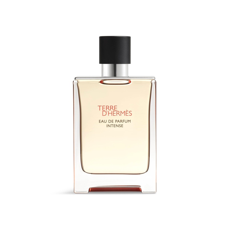 Terre d'Herms Eau de Parfum Intense 100 ml