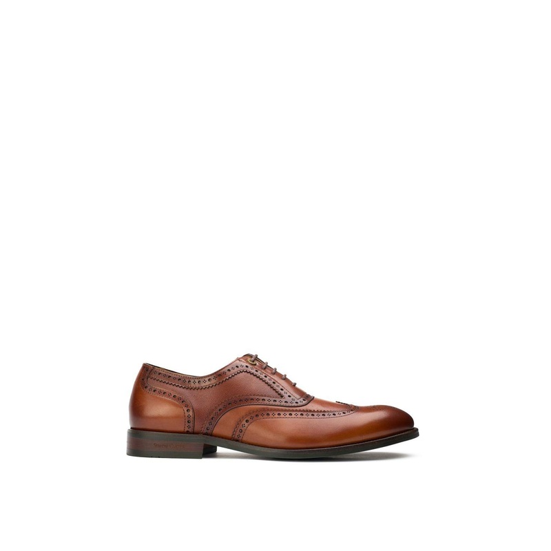 Diplodocus Leather Brogue Shoes Tan
