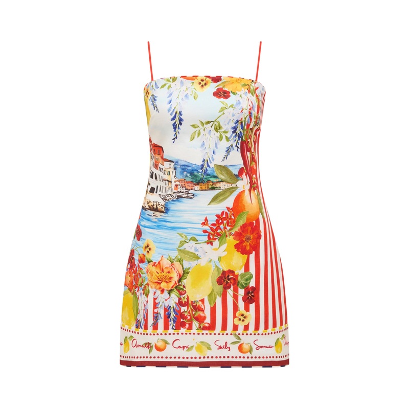 Sierra Printed Mini Dress