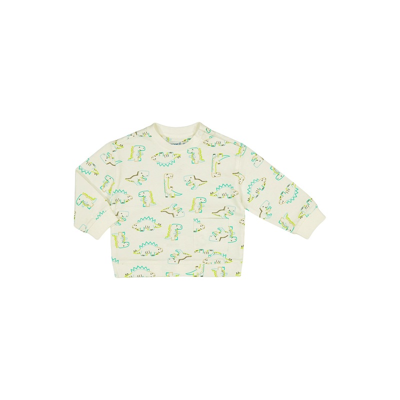 Dino Printed Pullover