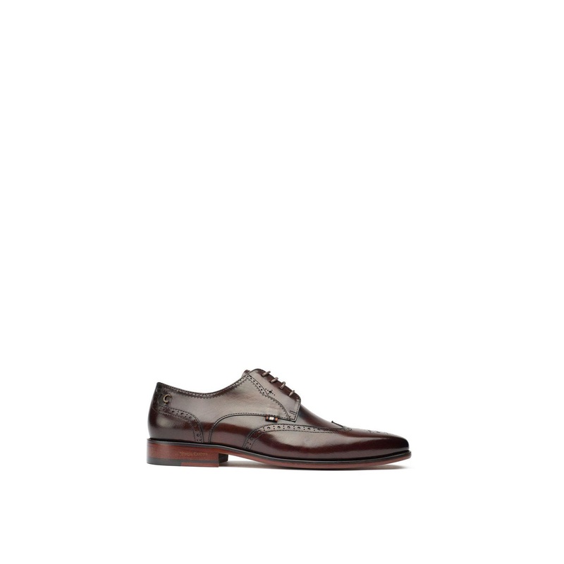 Beagle Leather Derby Shoes Brown