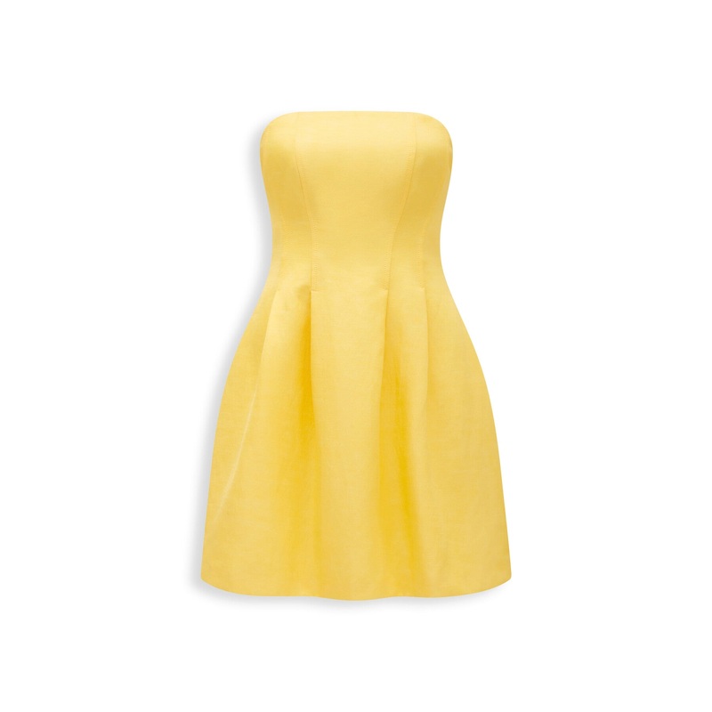 Shayla Strapless Mini Dress