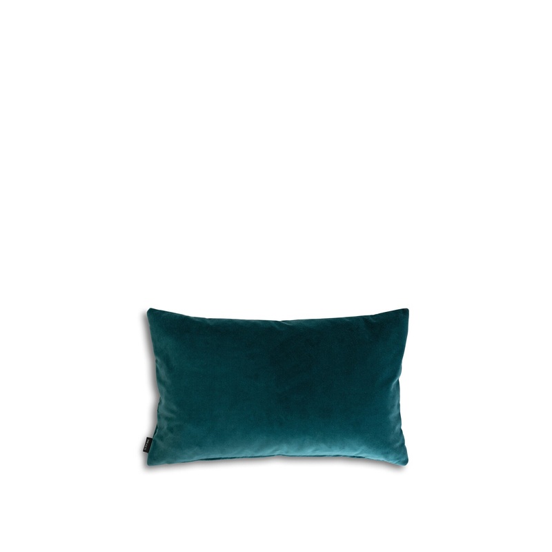 Velvet Cushion
