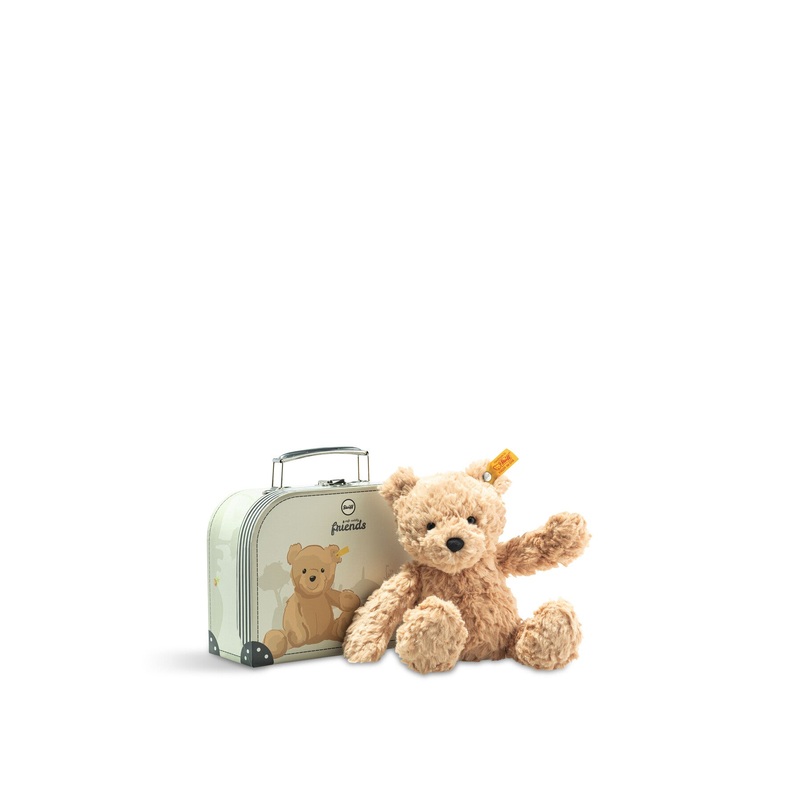 Jimmy Teddy in a Suitcase