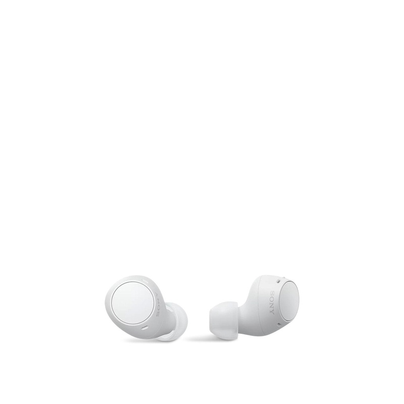 WFC510W Truly Wireless In ear Headphones
