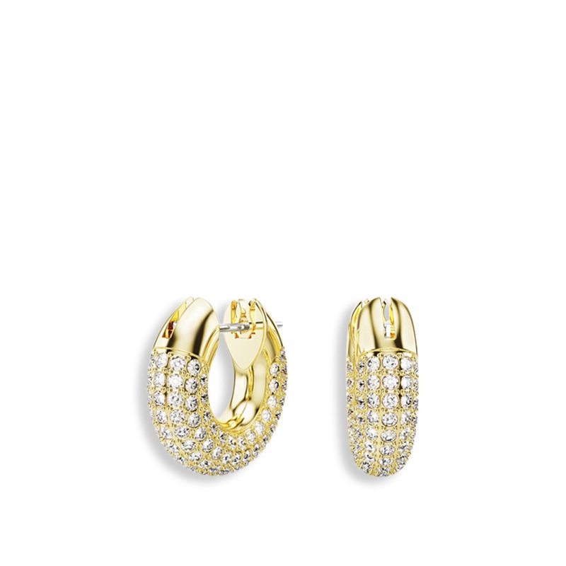 Dextera Small Hoop Earrings