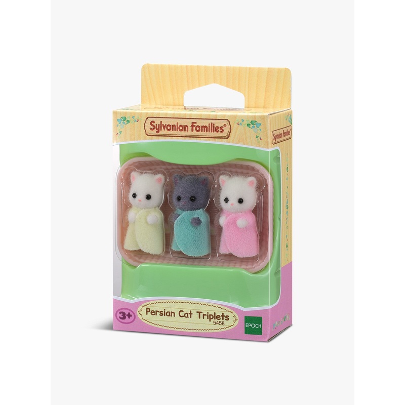 Persian Cat Triplets