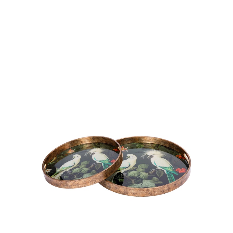 Tropical Birds Tray Set of 2
