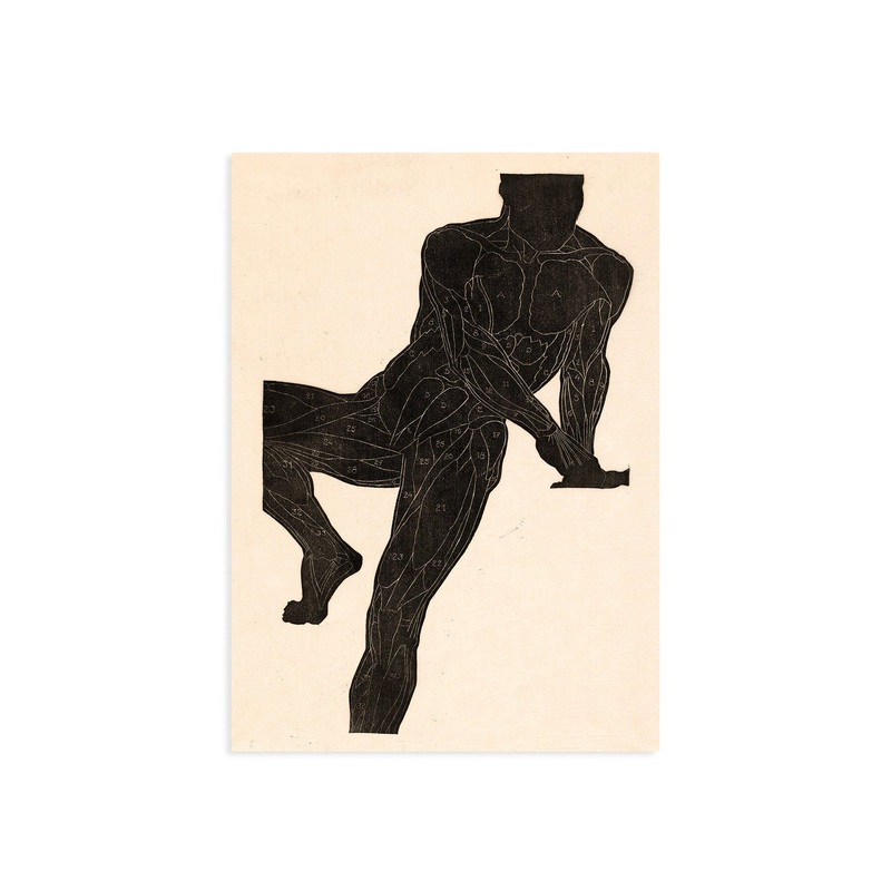 Lounging Muscle Chart