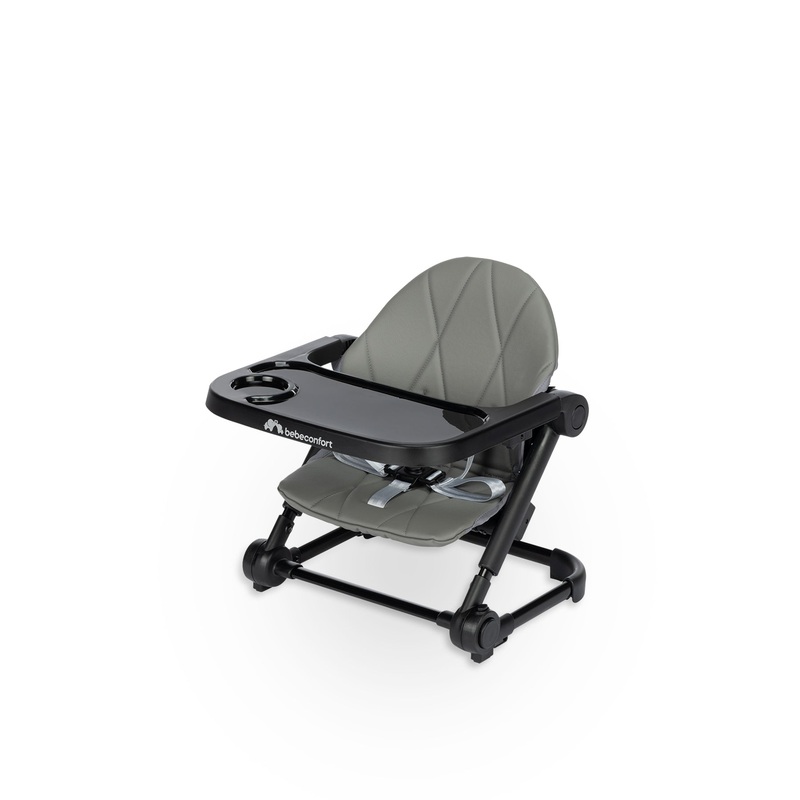 Moly Booster Seat Grey