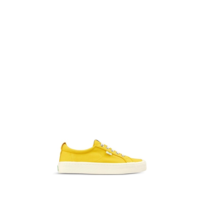 CARIUMA Oca Low Trainers