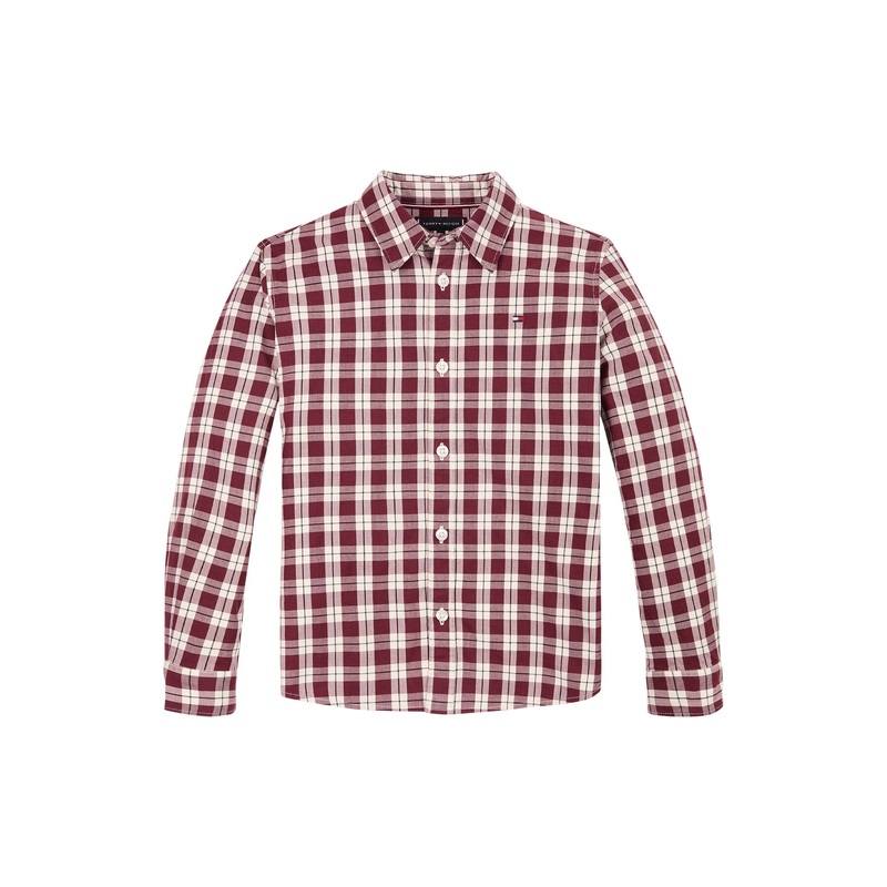 Small Check Regular Fit Shirt