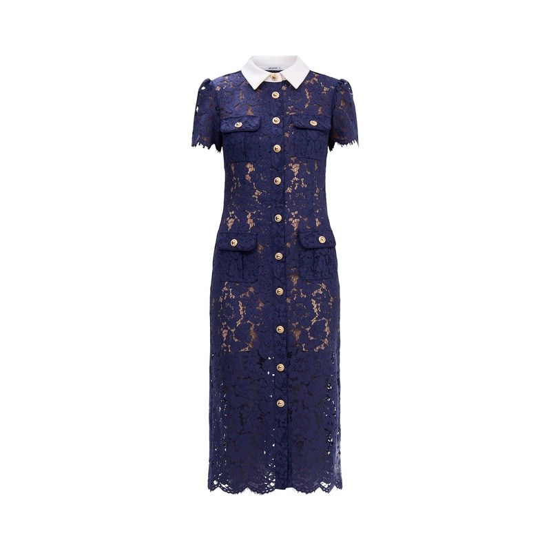 Navy Lace Contrast Collar Midi Dress