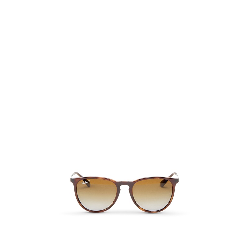 RB4171 Erika Sunglasses
