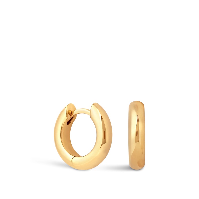 Bold Hoops Small Ear Ring