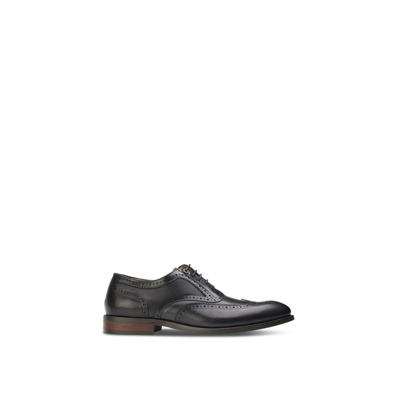 Diplodocus Brogue Shoes Black