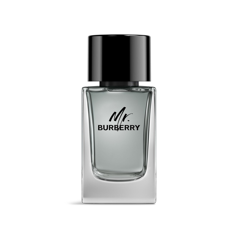 Mr. Burberry Eau de Toilette 100ml