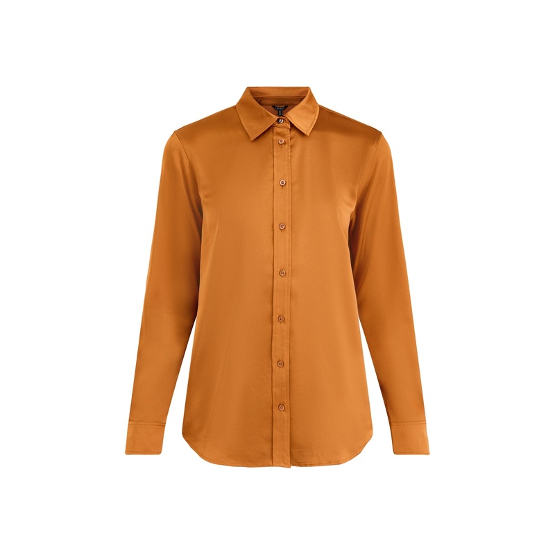 Jamelko Long Sleeves Button Front Shirt Brown