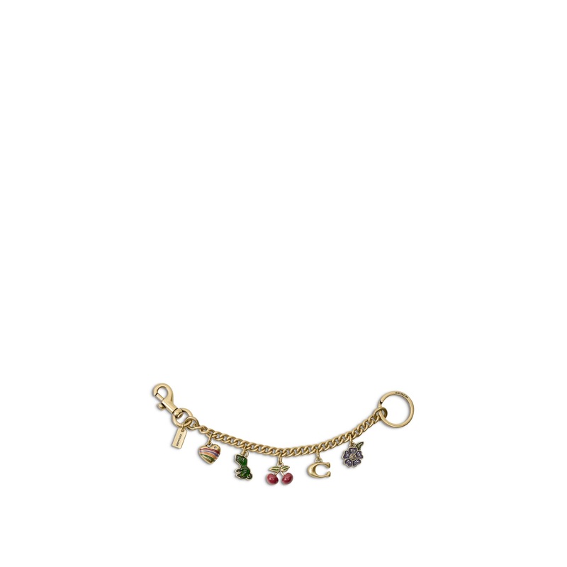 Motif Chain Bag Charm Multi