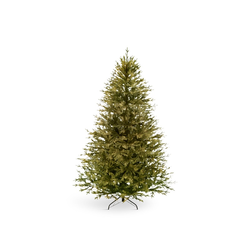 Rocky Mountain Pine Christmas Tree 6ft