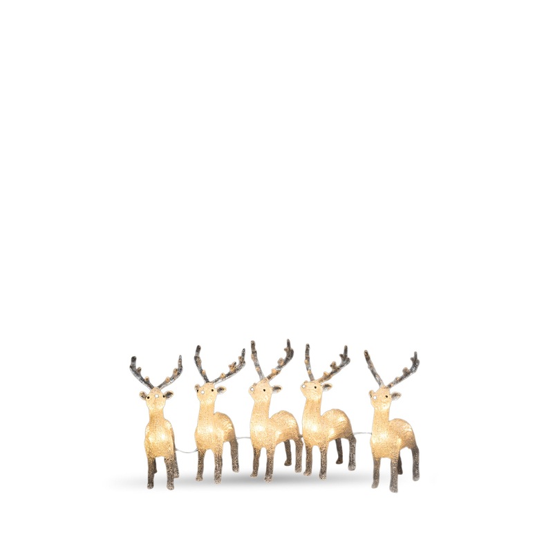 Acrylic Reindeer LED Lightset 5 Piece Warm White