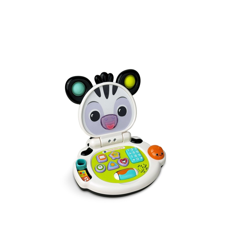 Discovery Zebra Laptop