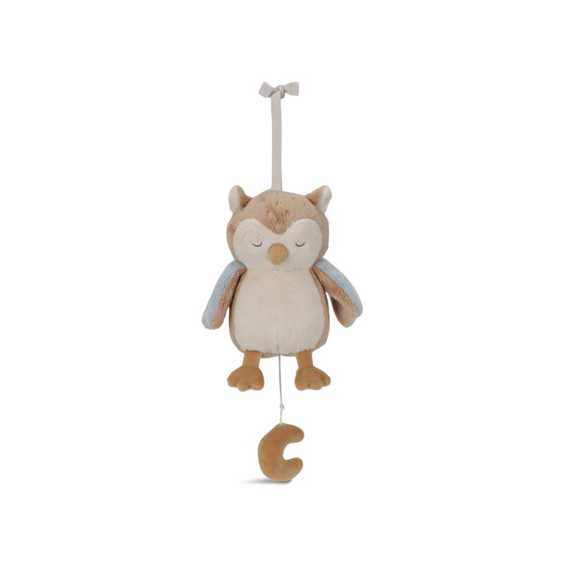Forest Friends Owl Music Box Blue