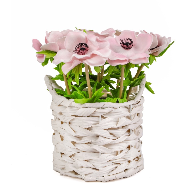 10 in. Spring Pink Anemone Flower Bouquet in White Basket