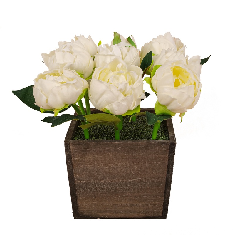 10 in. Spring White Peony Flowers in Wood Box