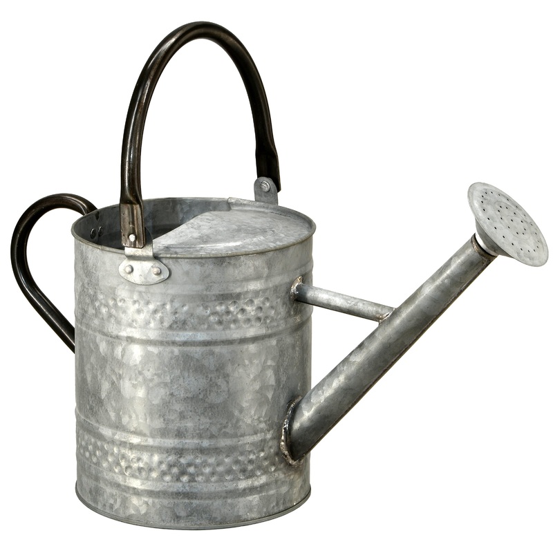 16 in. Steel Color Metal Watering Can