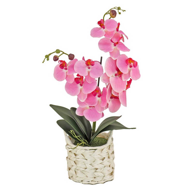 21 in. Spring Pink Orchid in White Basket