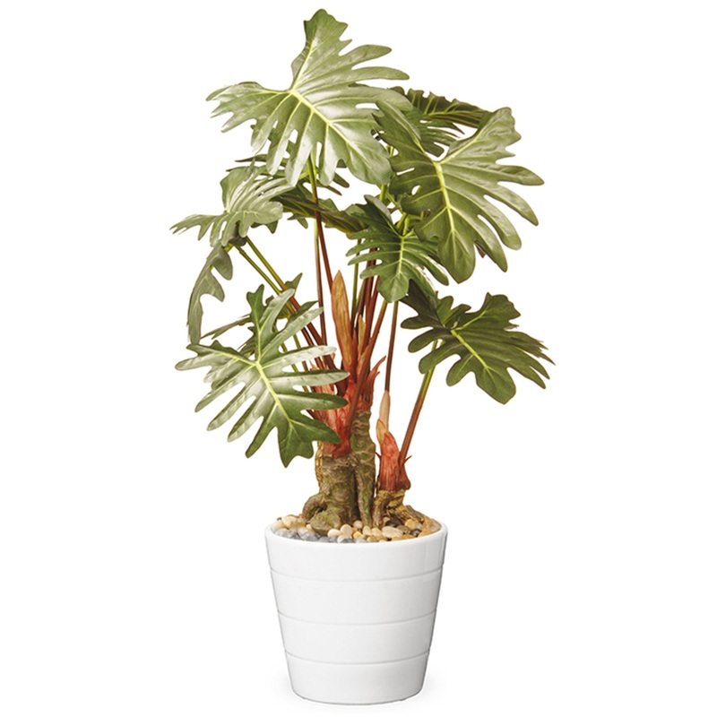 21 in.   Spring Potted Philodendron Plant Decoration Garden Accents in Ceramic Pot