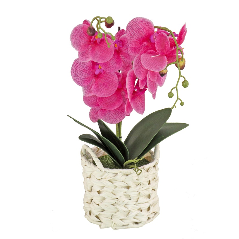 21 in. Spring Purple Orchid in White Basket