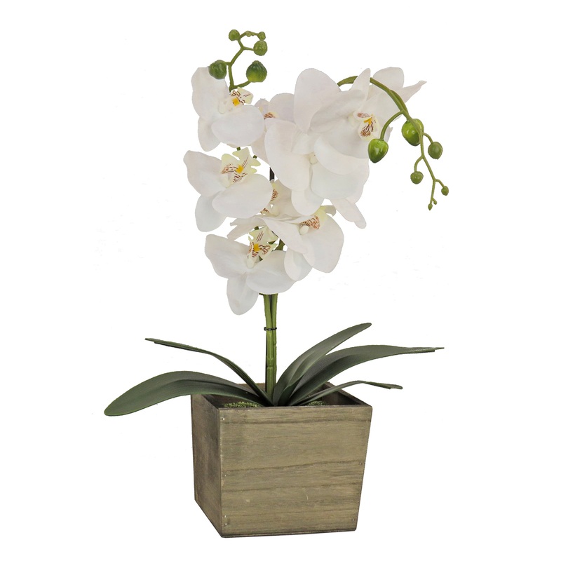 21 in. Spring White Orchid Flower in Wood Box
