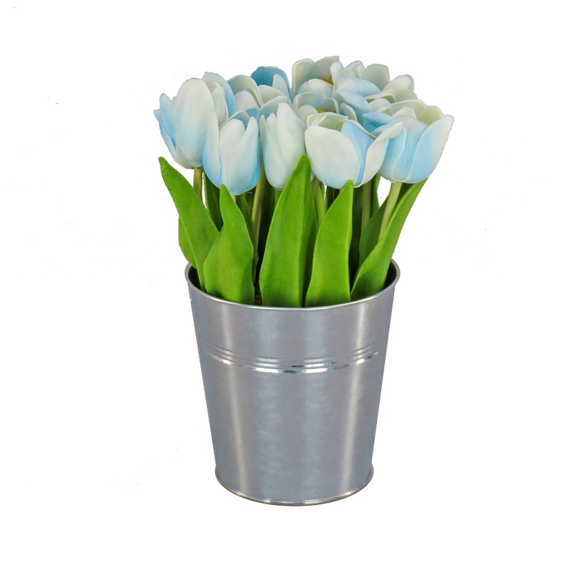 9 in. Spring Blue Tulip Bouquet in Metal Pot
