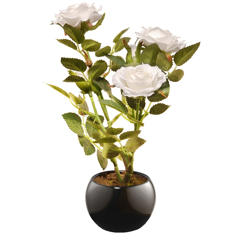 10 in. Spring White Rose Flower Potted in a Black Base