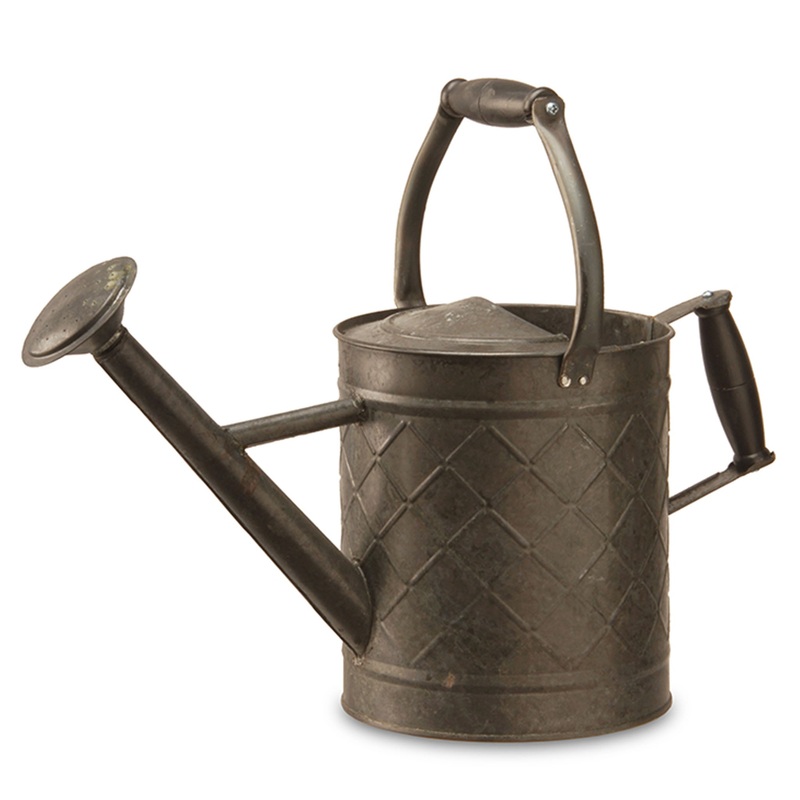 12 in. Spring Antique Black Metal Watering Can
