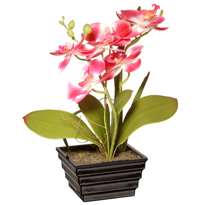 12 in. Spring Pink Orchids Flowers Potted Plant in a Black Base