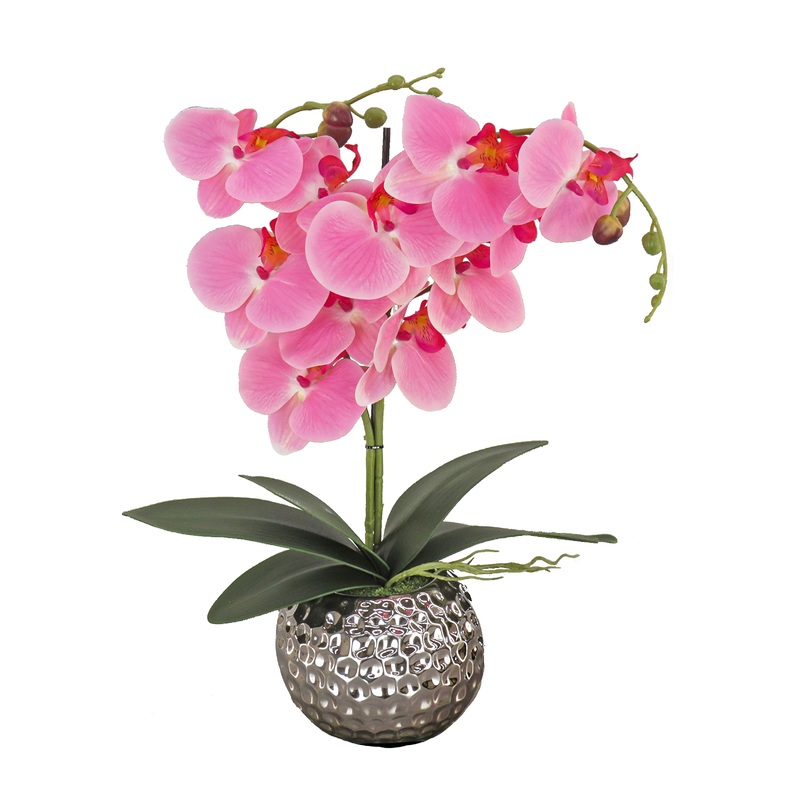 21 in. Spring Pink Orchid in Silver Smooth Ceramic Pot