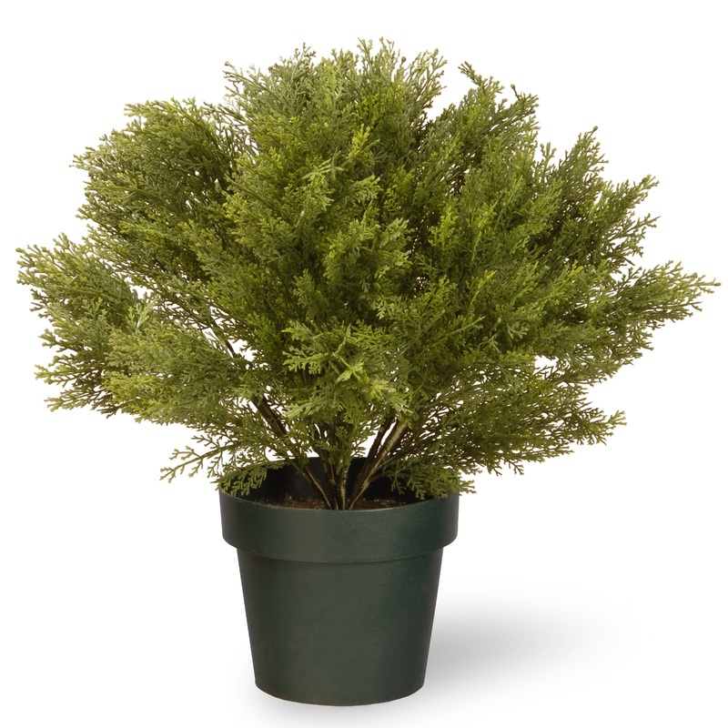 22 in. Globe Cedar Topiary Tree with Dark Green Round Growers Pot