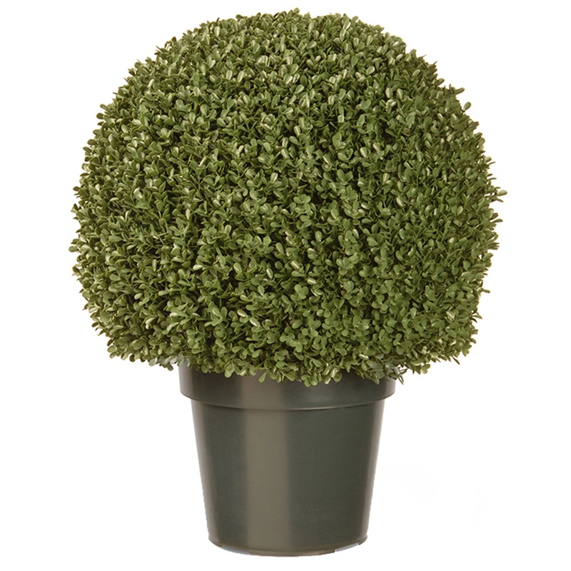 22 in. Mini Boxwood Ball Shaped Topiary Tree in a Round Green Growers Pot