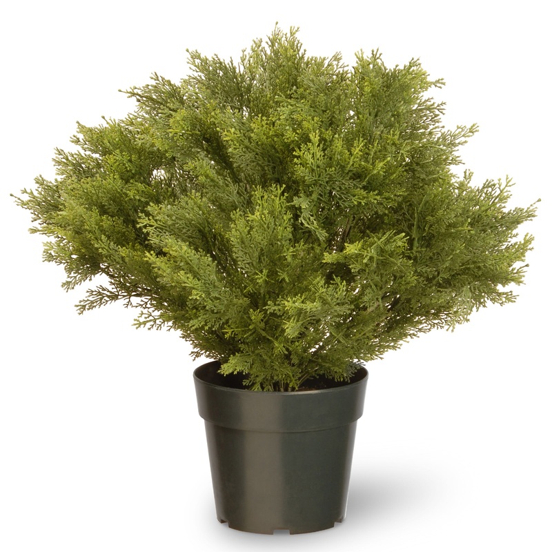26 in. Globe Cedar Topiary Tree