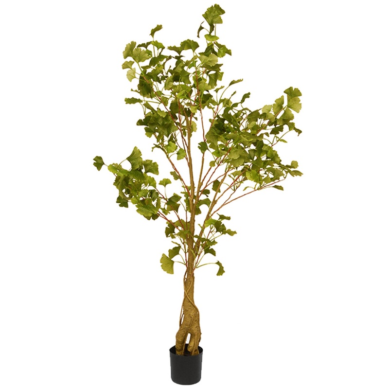 4 ft. Gingko Tree Potted Topiary Tree in a Black Pot Base