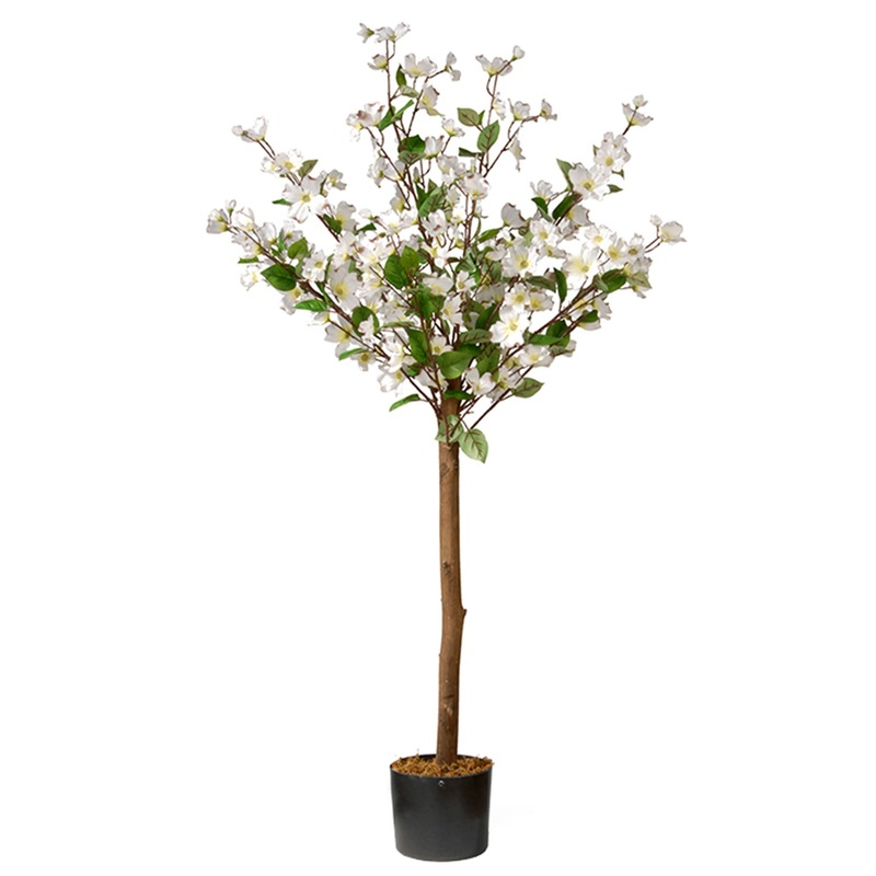 4 ft. Spring Dogwood Potted Tree in a Black Pot