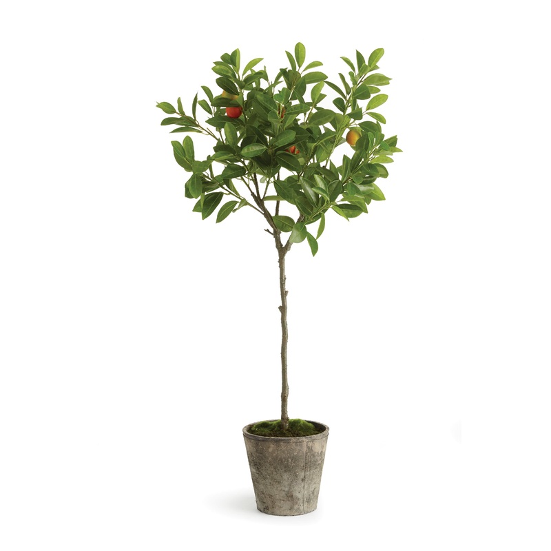 41 in. Potted Orange Topiary Tree