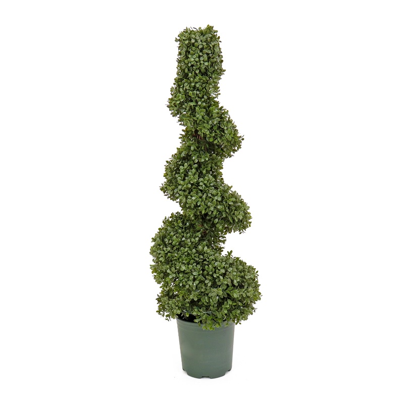 44 in. Boxwood Spiral Topiary