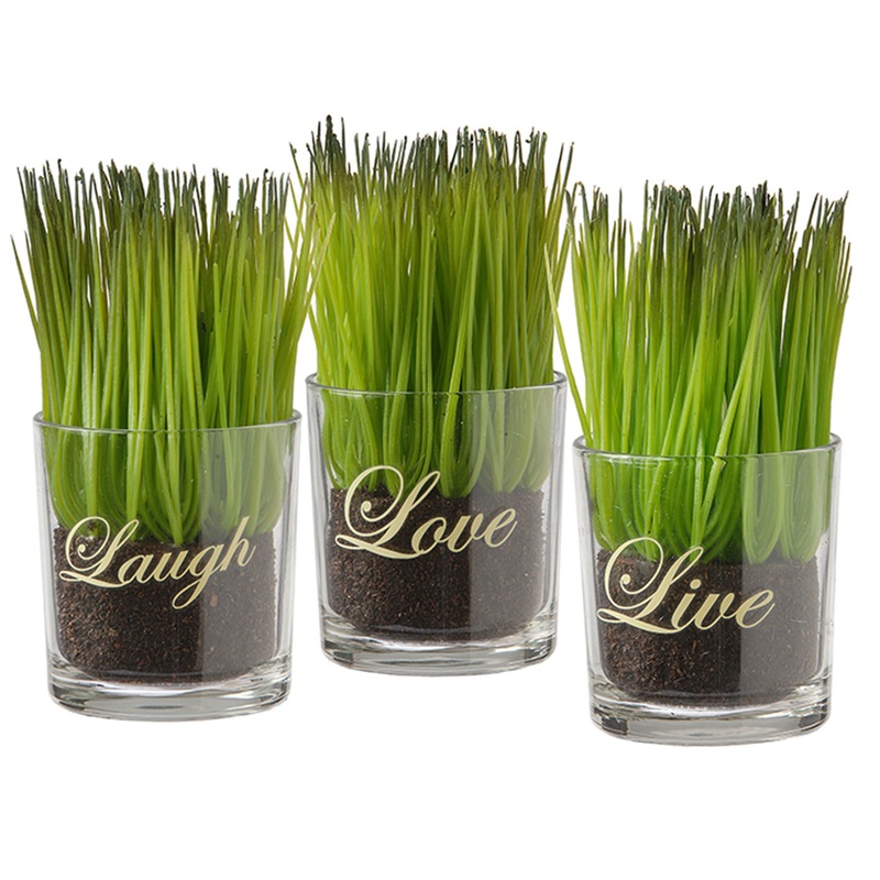 6 in. 3-Piece Potted Plant Set, Green Plant Sprouts, Square Glass Pot Base with Messages