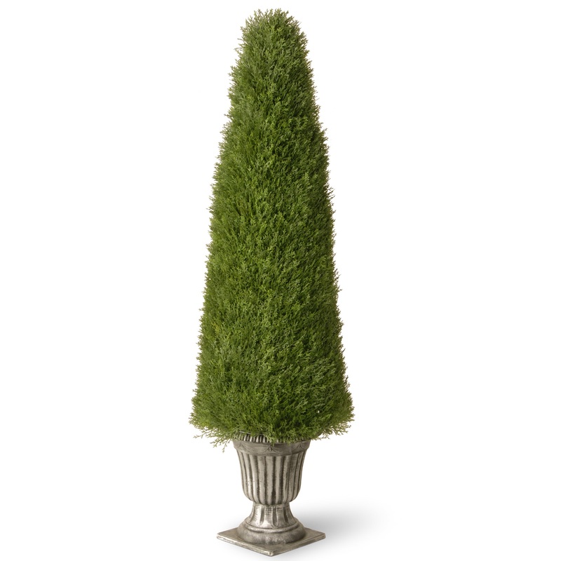 60 in. Upright Juniper Topiary