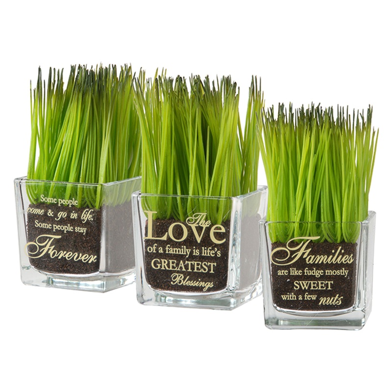 7 in. 3-Piece Potted Plant Set with Green Plant Sprouts, Square Glass Pot Base with Messages