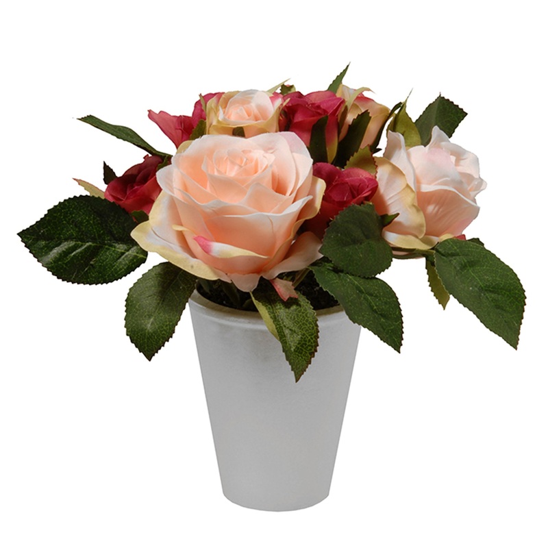 8 in. Spring Pink and Red Roses Potted Plant in a White Pot Base